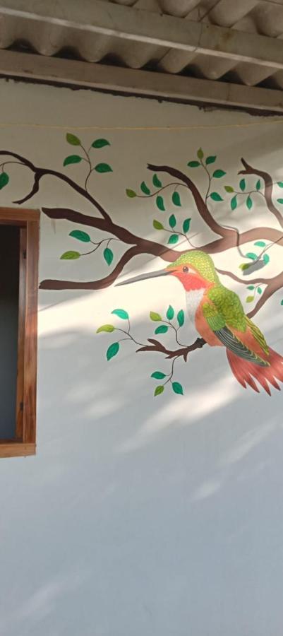 Sierra Kay Hostel Guachaca Rum bild